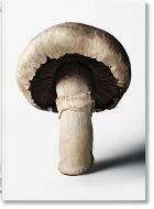 The Gourmand's Mushroom. A Collection of Stories & Recipes