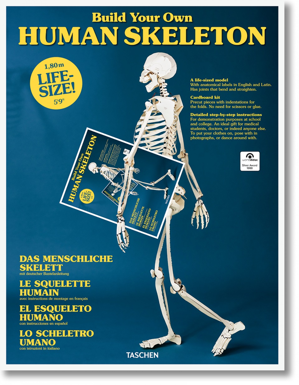 build-your-own-human-skeleton-life-size-popul-rn-nau-n-popul-rn-nau-n-cizojazy-n