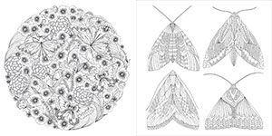 A Colouring Book Adventure 3