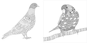 A Colouring Book Adventure 4