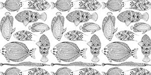 A Colouring Book Adventure 5